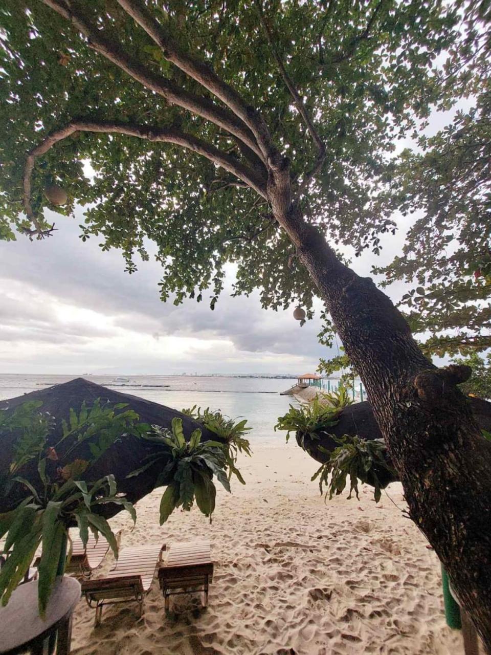 Chema'S By The Sea Samal Exterior foto